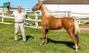 Fotografieklub geniet Mierkraal